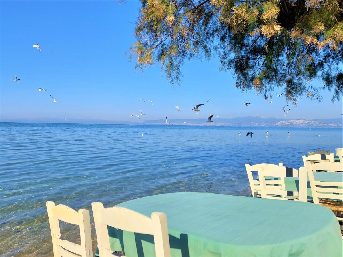 Niko'S Apartment - Beautiful Sea View Apartment ! Peraía エクステリア 写真